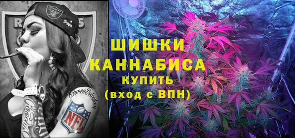 стафф Дмитровск