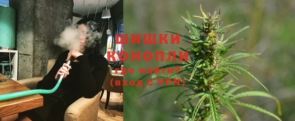 сатива Дмитриев