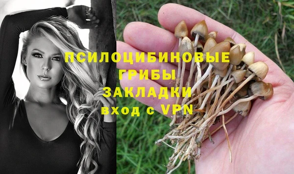 сатива Дмитриев