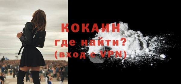 сатива Дмитриев