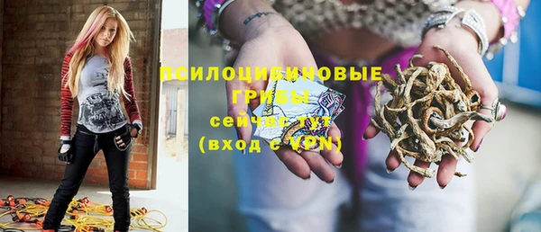 стафф Дмитровск
