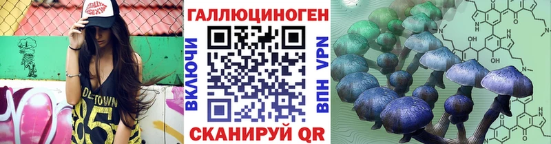 Купить где  Скопин  Галлюциногенные грибы GOLDEN TEACHER 